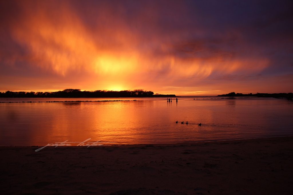 Urunga Sunrise Ducks Water Peter Lister