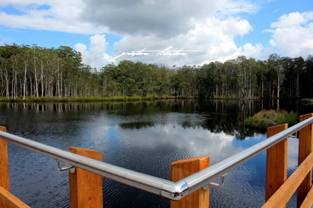 Urunga Wetlands & Boardwalk Water Peter Lister
