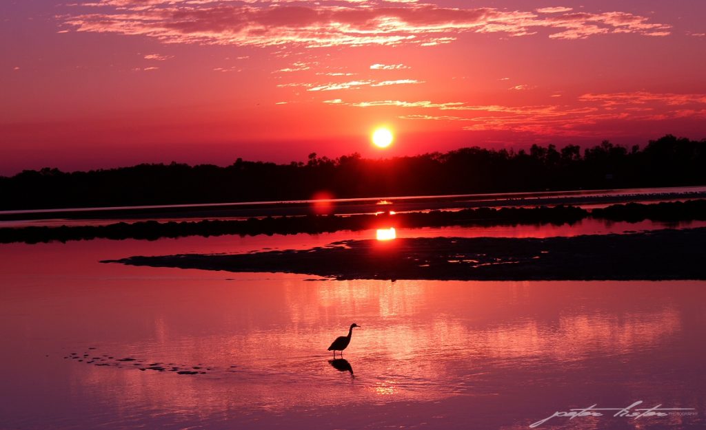 Urunga NSW Kalang River Sunrise