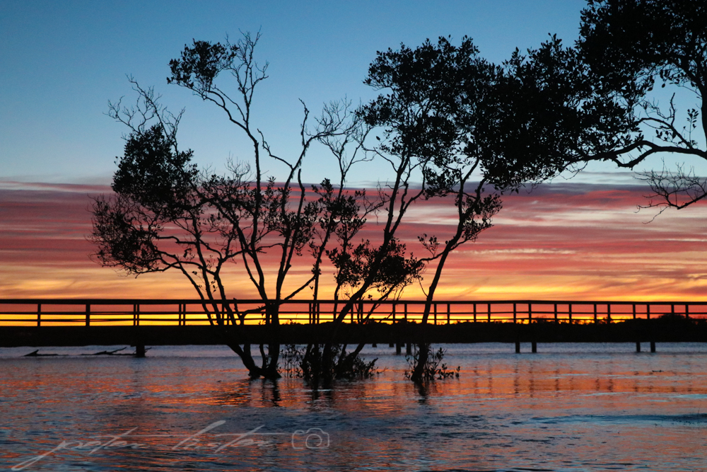 Urunga Sunrise