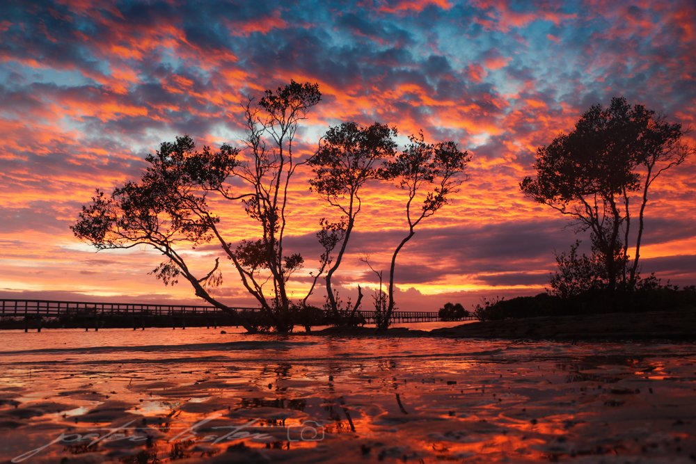 Sunrise 10th Feb